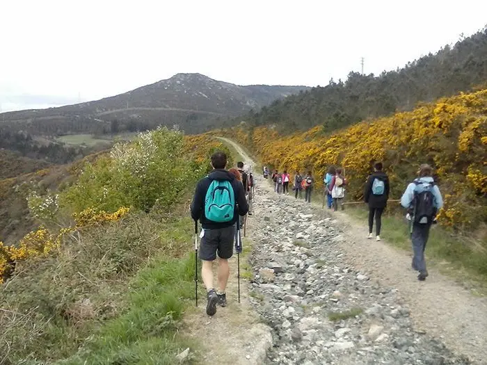 Diario Camino secreto de Santiago 2014