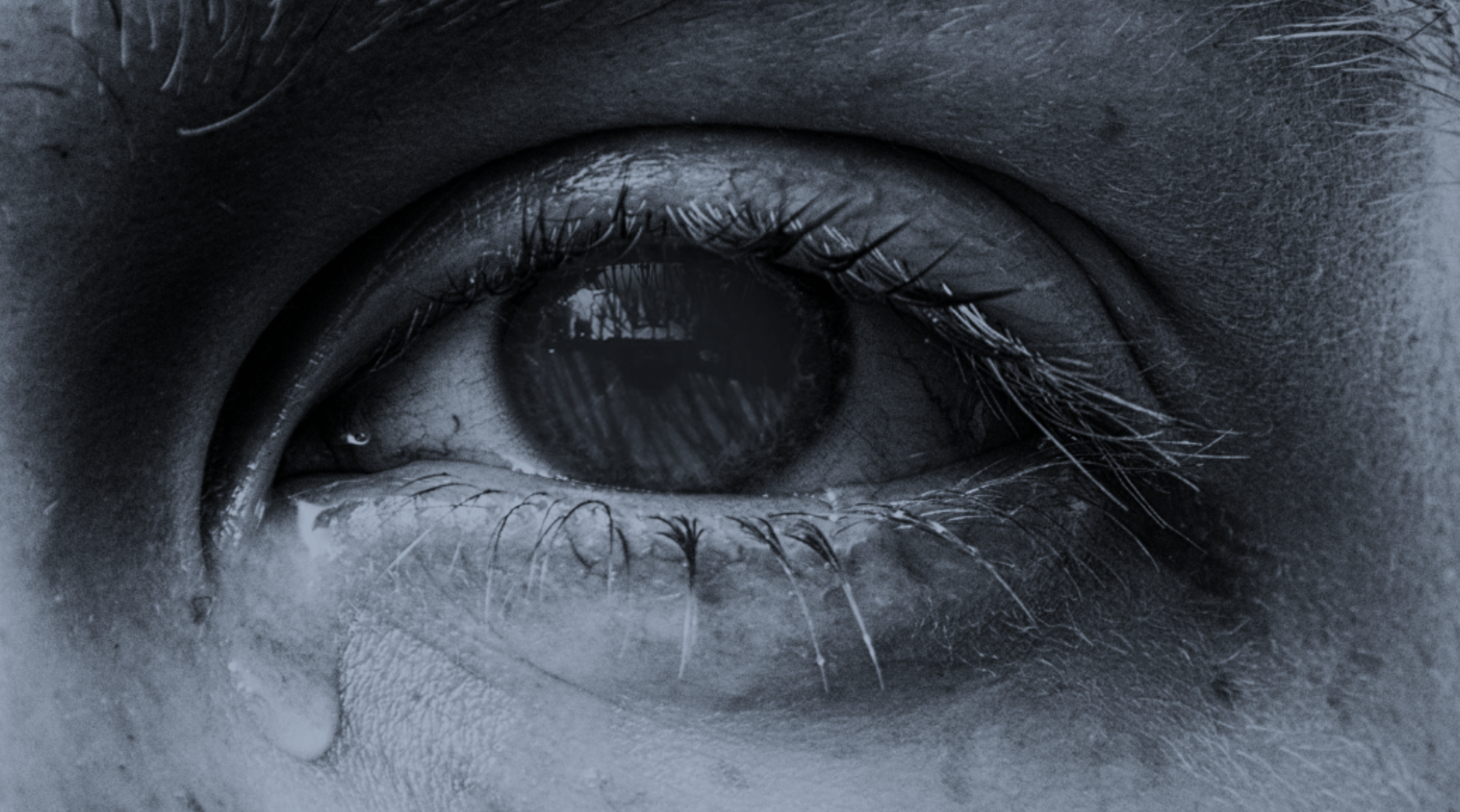 trauma abordaje transpersonal