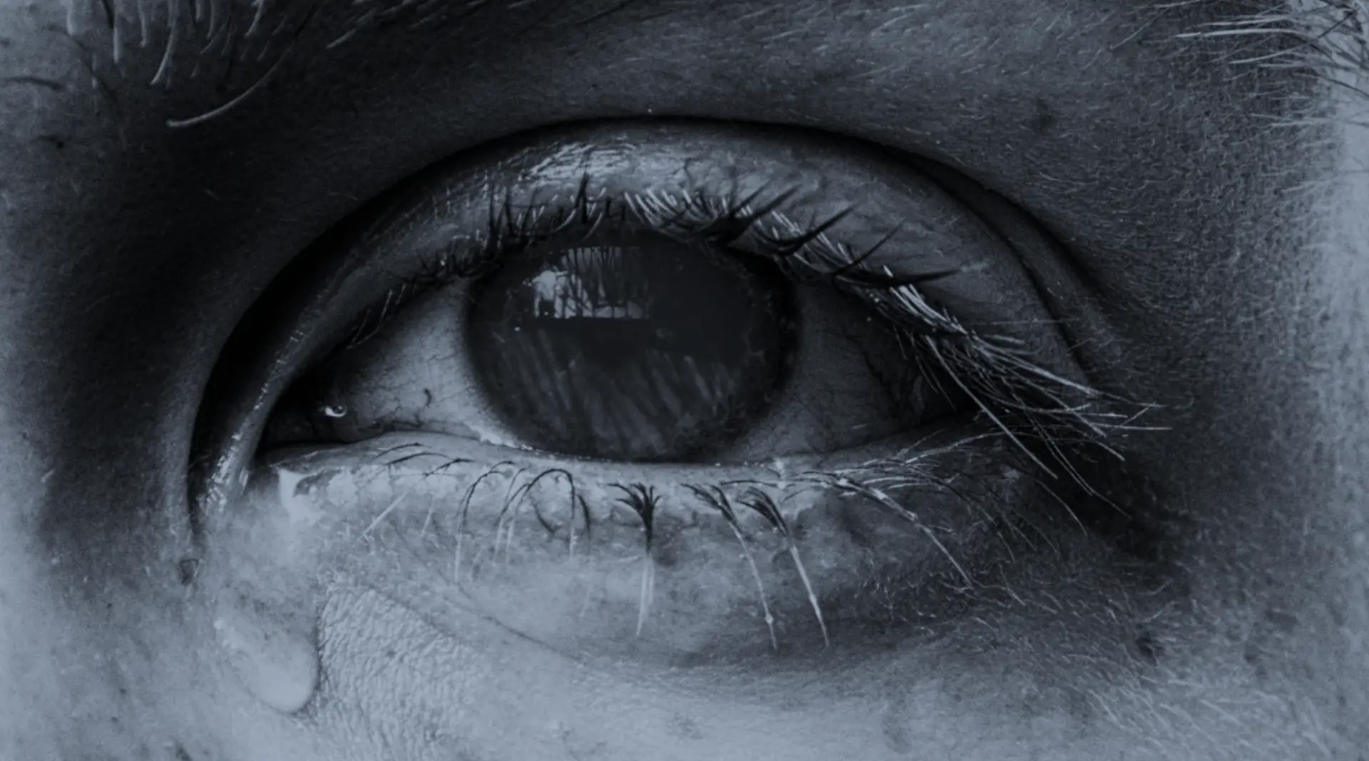 trauma abordaje transpersonal