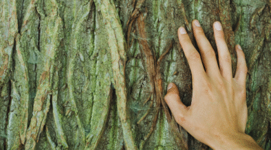 Minfulness y ARTE