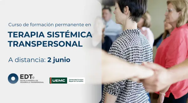 Terapia Sistemica