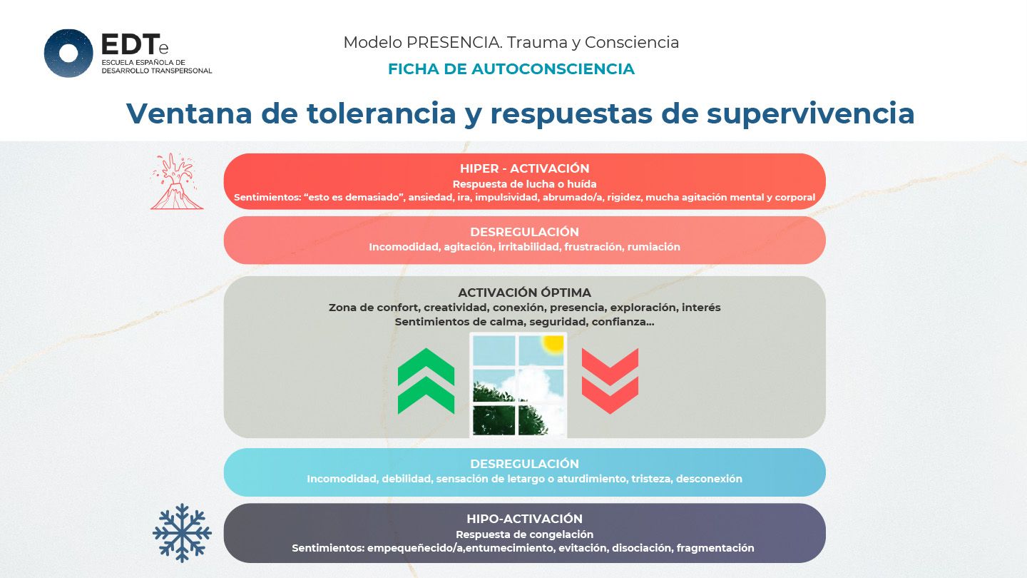 Ventana de tolerancia