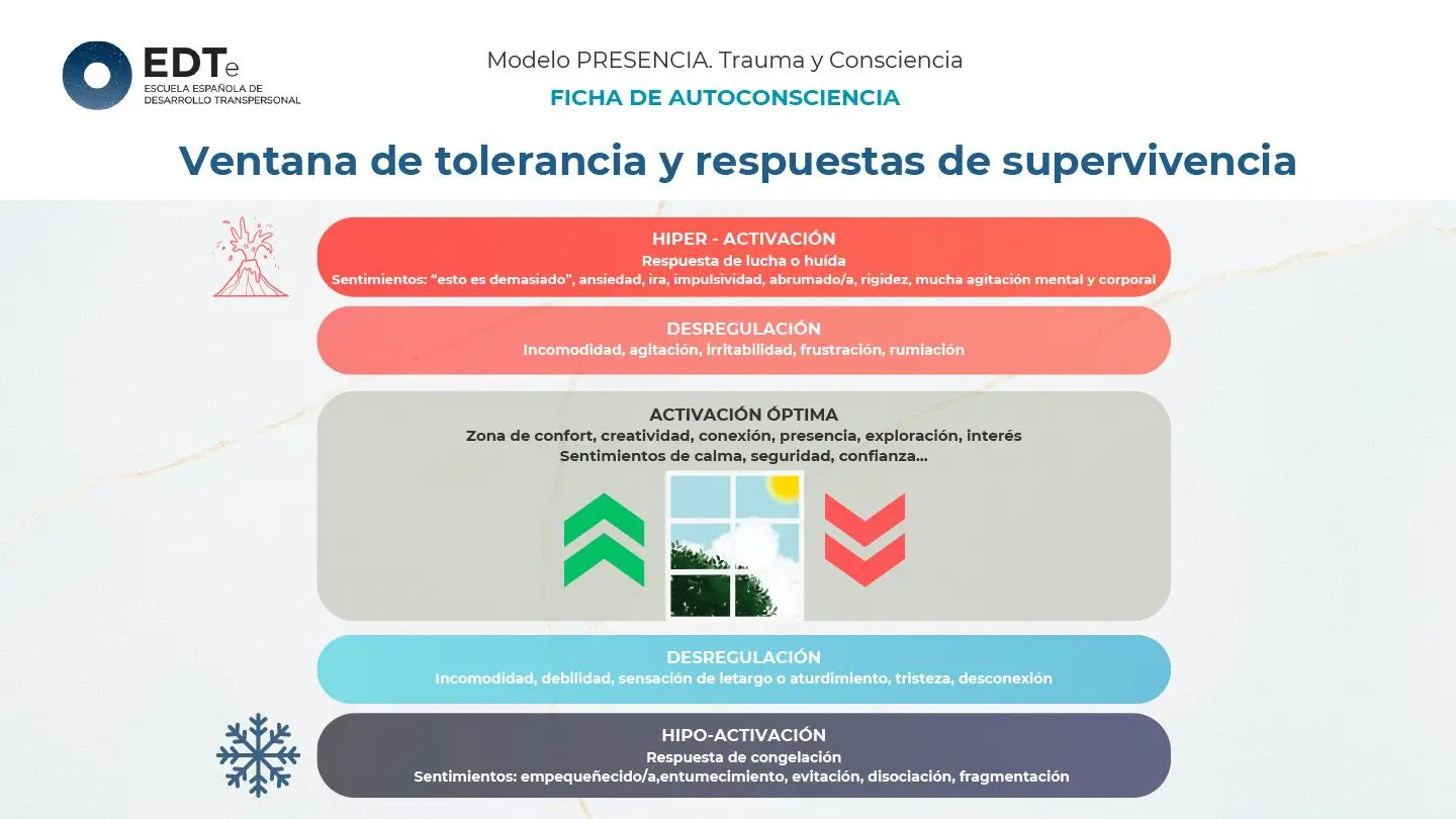 Ventana de tolerancia