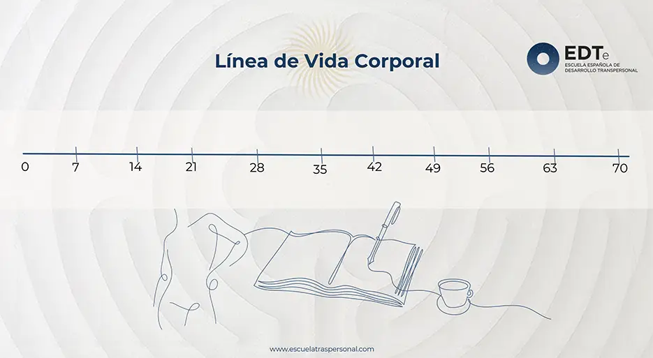 linea de vida corporal