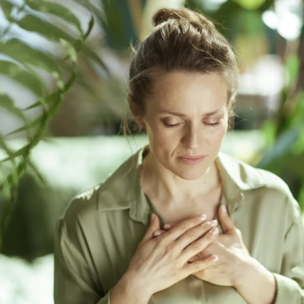 jornada meditacion
